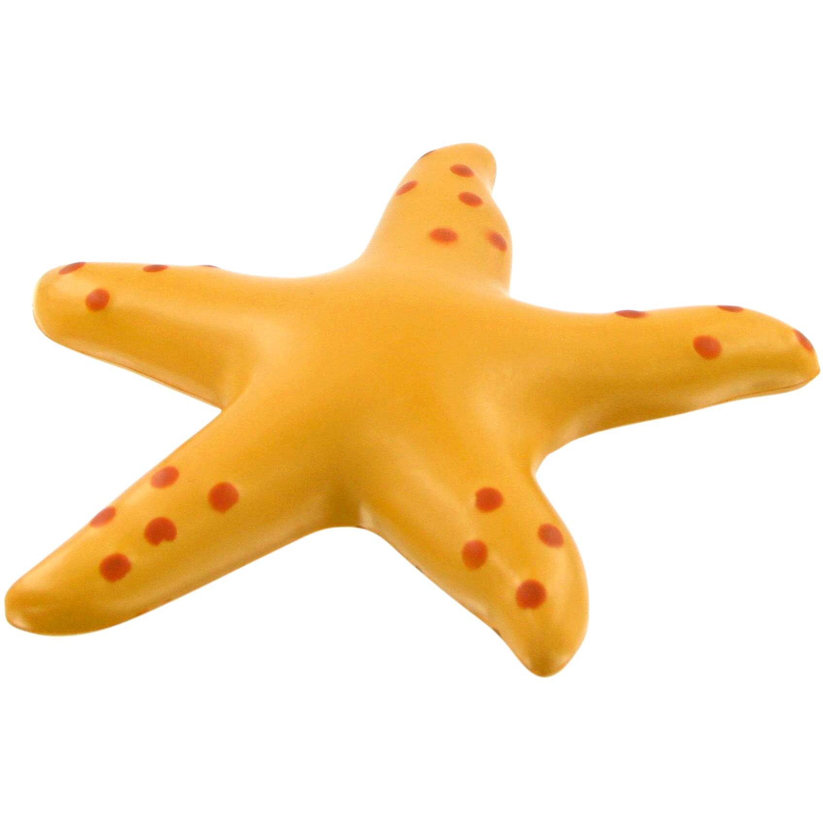 Estrellas de Mar